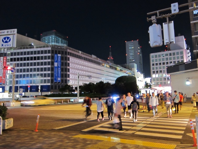 伊豆１８ (640x480).jpg