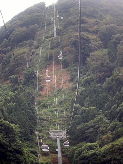 伊豆６ (480x640).jpg