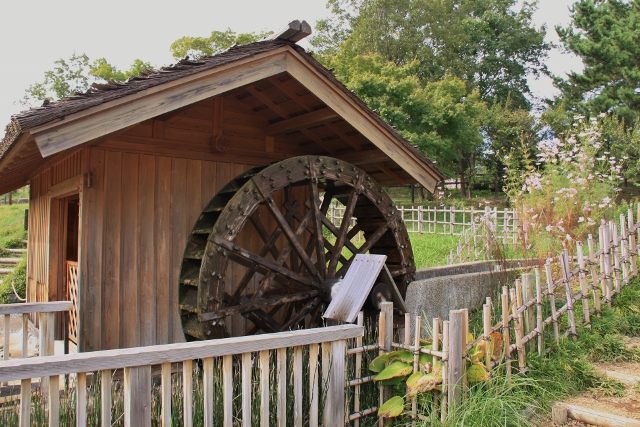 昭和記念公園１１ (640x427).jpg