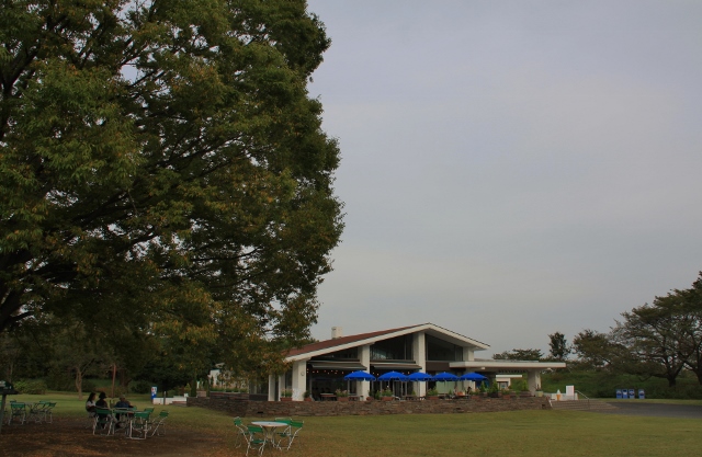 昭和記念公園１２ (640x417).jpg