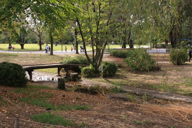 昭和記念公園１６ (640x427).jpg