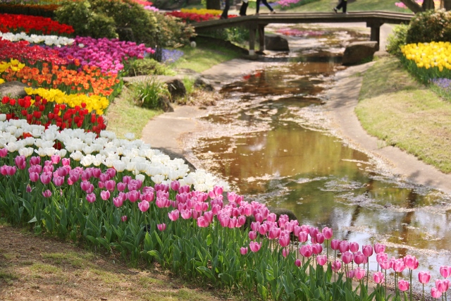 昭和記念公園１７ (640x427).jpg