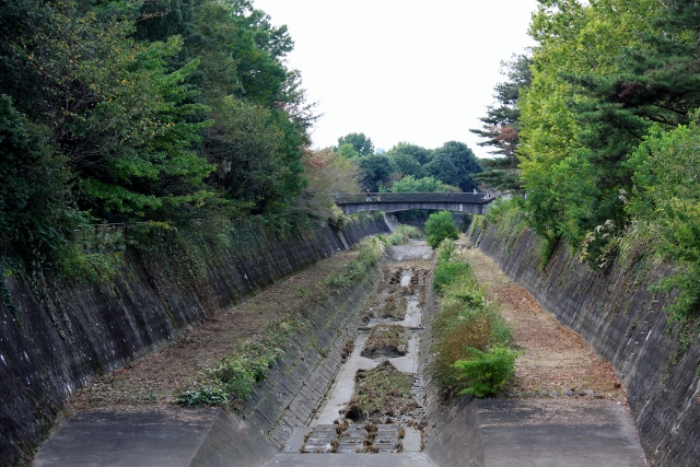 昭和記念公園１８ (640x427).jpg