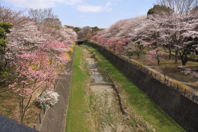 昭和記念公園１９ (640x427).jpg