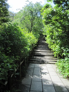 2017-06Kamakura.jpg