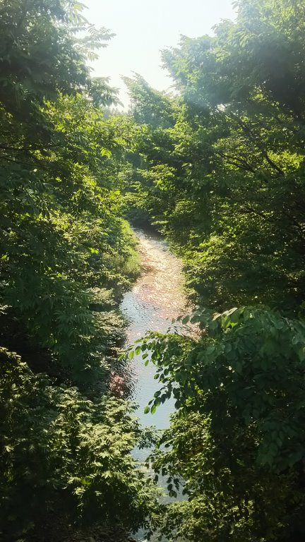 DSC_0197.jpg