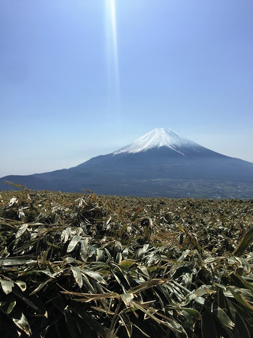 竜ケ岳　富士山.JPG