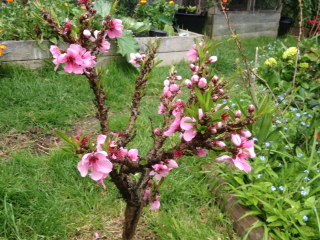 20170925-5.JPG