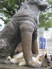 Shibuya.JPG