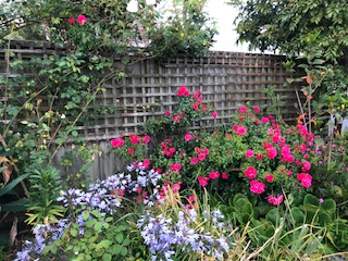 20171127-4.jpg