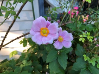 201803-6.jpg