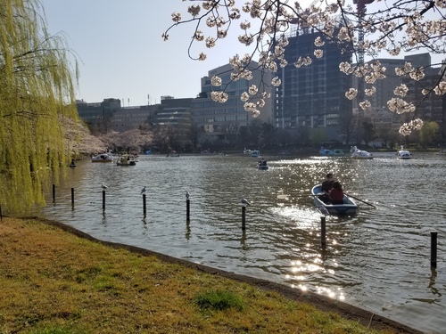 20180325_153205.jpg