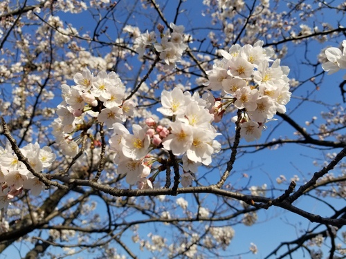 20180325_153431.jpg