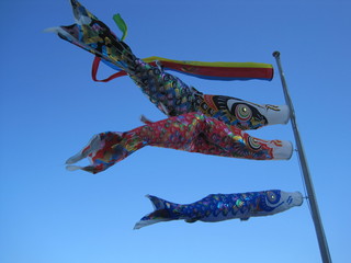 IMG_0685.JPGのサムネール画像