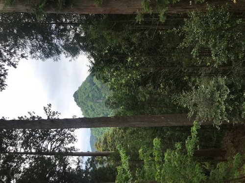 image1.jpeg