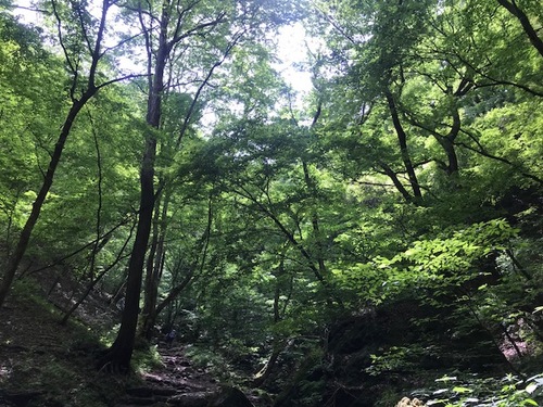 image4.jpeg
