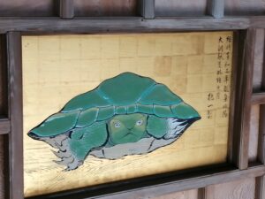 江の島の亀